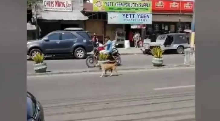 مدار الساعة,Video,فيديو,أخبار خفيفة ومنوعة