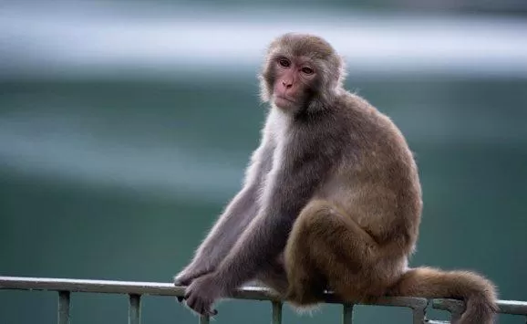 مدار الساعة,أخبار خفيفة ومنوعة,اضطرابات النوم