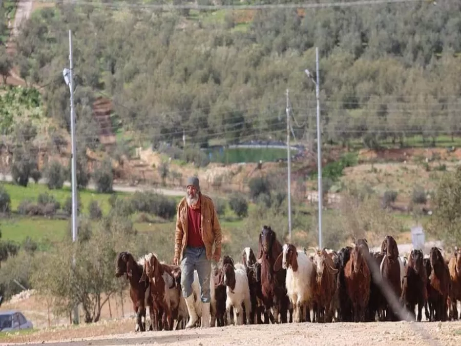 مدار الساعة,مقالات