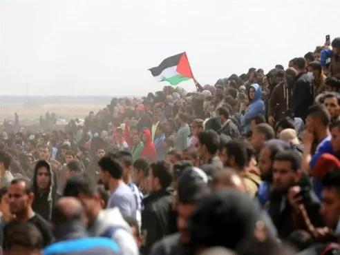 مدار الساعة,أخبار عربية ودولية,وزارة الصحة,قطاع غزة