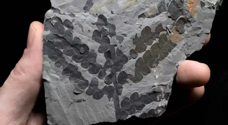 مدار الساعة,أخبار خفيفة ومنوعة,البحر الميت