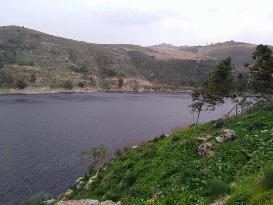 مدار الساعة,أخبار الأردن,اخبار الاردن,وزارة المياه والري,وزارة المياه,وادي الأردن