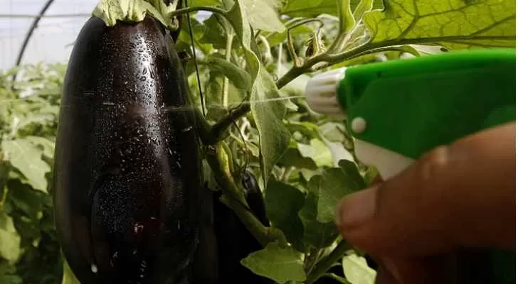 مدار الساعة,أخبار خفيفة ومنوعة