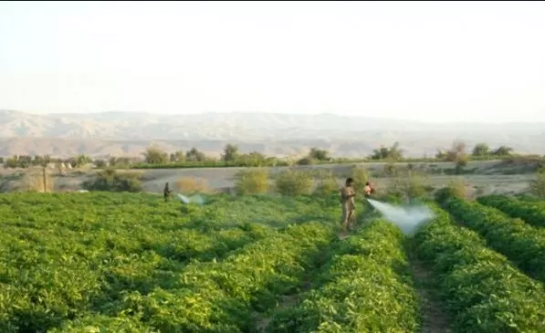 مدار الساعة,أخبار الأردن,اخبار الاردن,وزير المياه والري,رائد ابو السعود