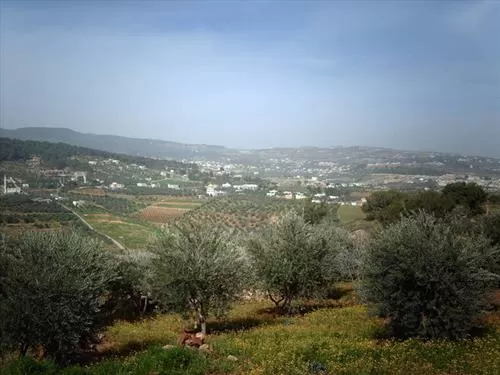 مدار الساعة,أخبار الأردن,اخبار الاردن