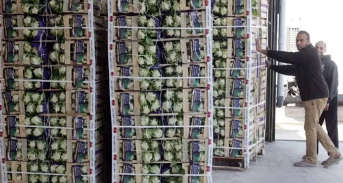 مدار الساعة,أخبار اقتصادية,وزارة الزراعة