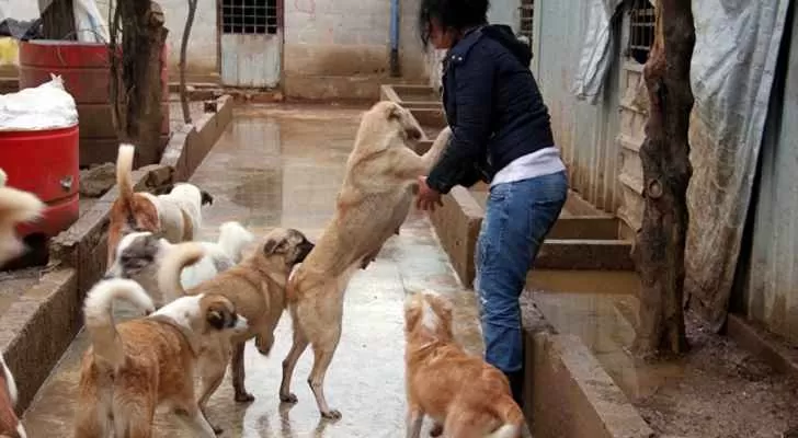 مدار الساعة,أخبار خفيفة ومنوعة,وسائل التواصل الاجتماعي