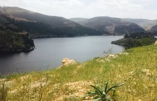 مدار الساعة,أخبار الأردن,اخبار الاردن,سلطة وادي الأردن,وزارة المياه,وادي الأردن