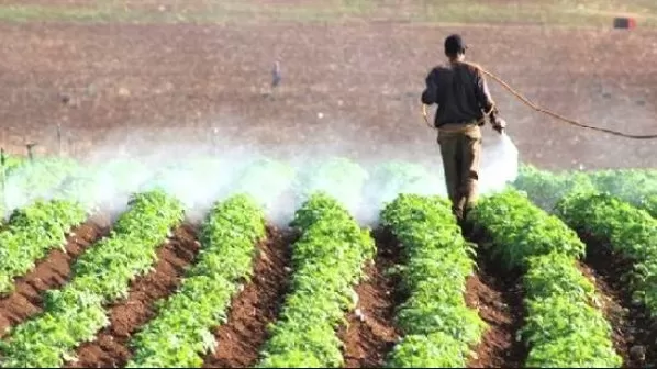 مدار الساعة,أخبار اقتصادية,وزير الزراعة