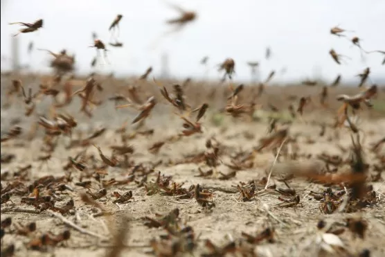 مدار الساعة,أخبار عربية ودولية