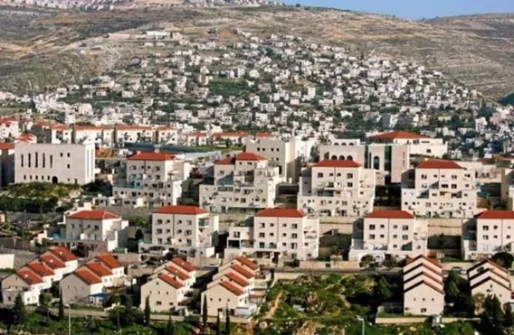 مدار الساعة,أخبار عربية ودولية