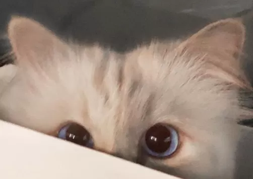 مدار الساعة,أخبار خفيفة ومنوعة