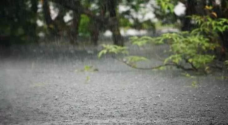 مدار الساعة,أخبار خفيفة ومنوعة