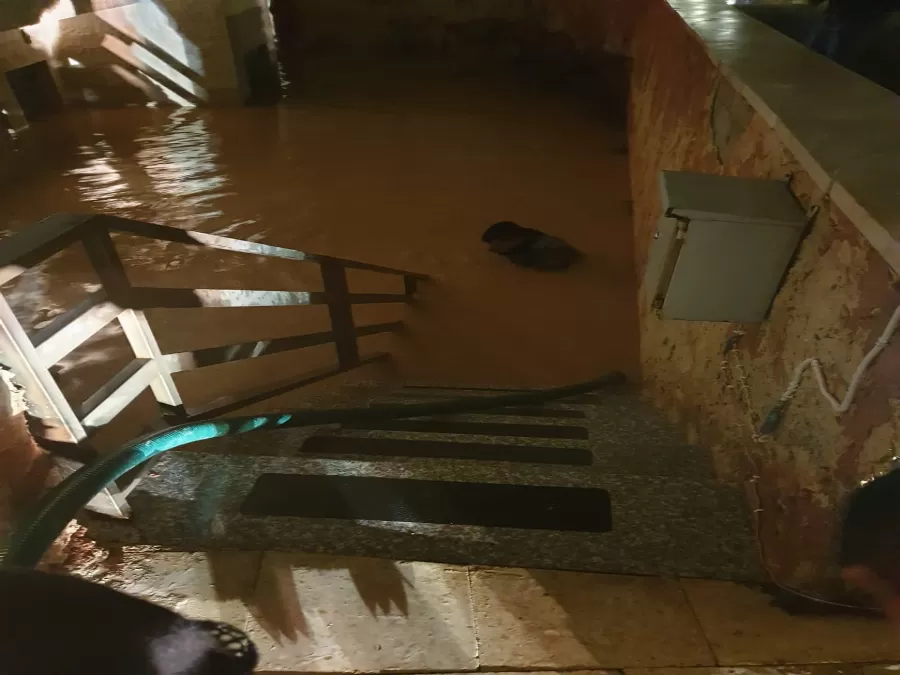 مدار الساعة,أسرار أردنية,قوات الدرك