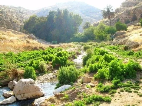مدار الساعة,أخبار الأردن,اخبار الاردن