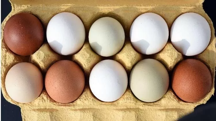 مدار الساعة,أخبار خفيفة ومنوعة