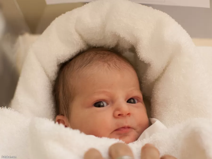 مدار الساعة,أخبار خفيفة ومنوعة