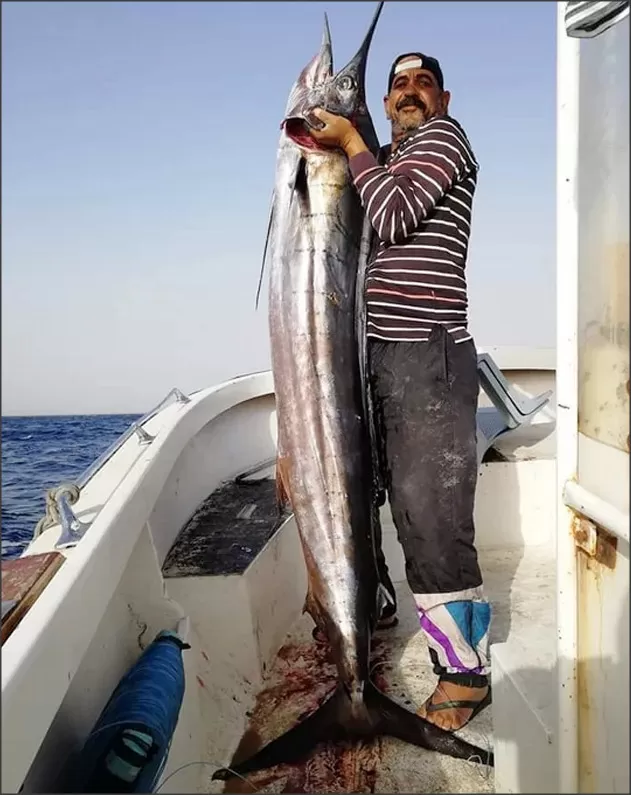 مدار الساعة,أخبار الأردن,اخبار الاردن