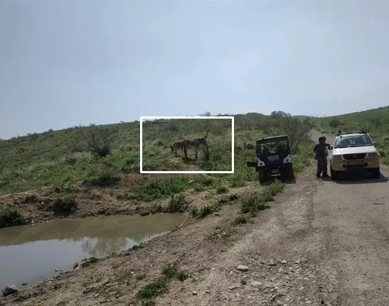 مدار الساعة,أخبار عربية ودولية