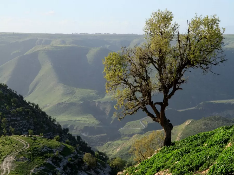 مدار الساعة,الطقس في الأردن اليوم,طقس الأردن,طقس العرب,طقس العرب الاردن,درجات الحرارة العظمى والصغرى,درجات الحرارة,البحر الميت