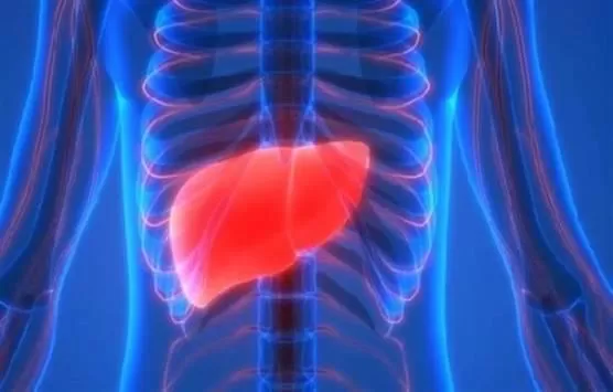 مدار الساعة,أخبار خفيفة ومنوعة