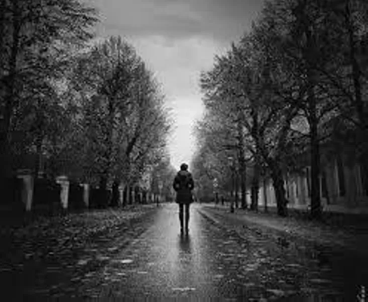 مدار الساعة,مقالات