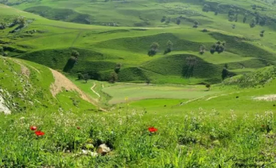مدار الساعة,أخبار الأردن,اخبار الاردن,البحر الميت