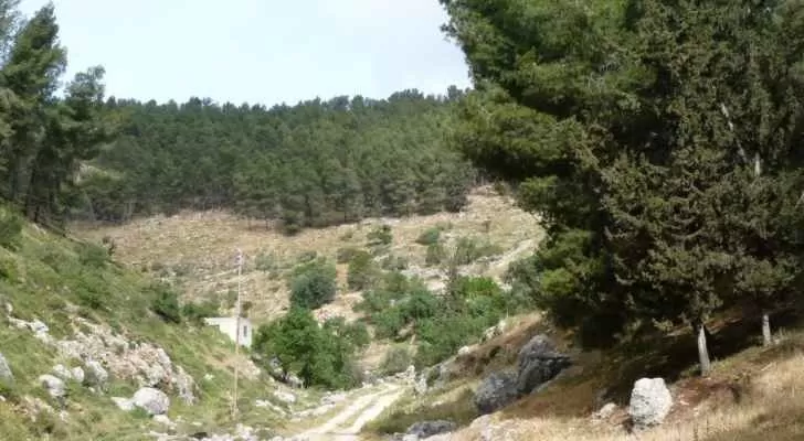 مدار الساعة,أخبار الأردن,اخبار الاردن,وزير الزراعة,وزير البيئة