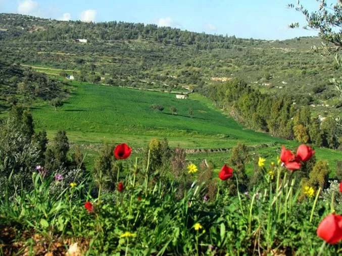 مدار الساعة,أخبار الأردن,اخبار الاردن,درجات الحرارة