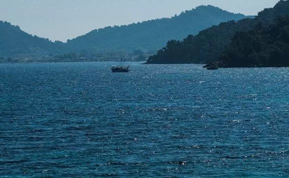 مدار الساعة,أخبار خفيفة ومنوعة