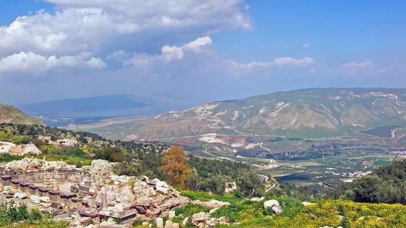مدار الساعة,أخبار الأردن,اخبار الاردن,وزير الخارجية وشؤون المغتربين,أيمن الصفدي,وزارة الخارجية