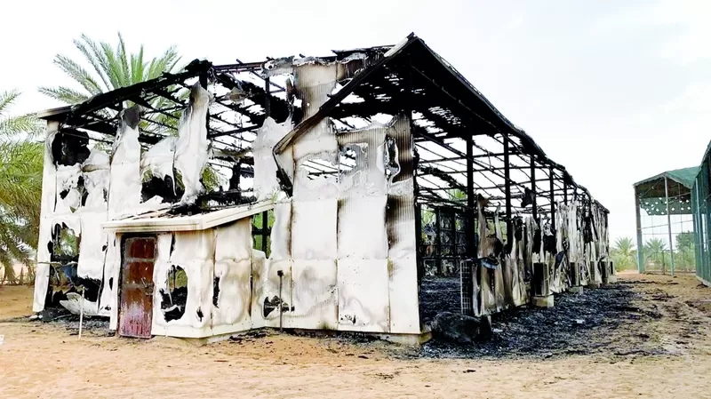 مدار الساعة,أخبار خفيفة ومنوعة