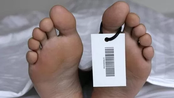 مدار الساعة,أخبار خفيفة ومنوعة