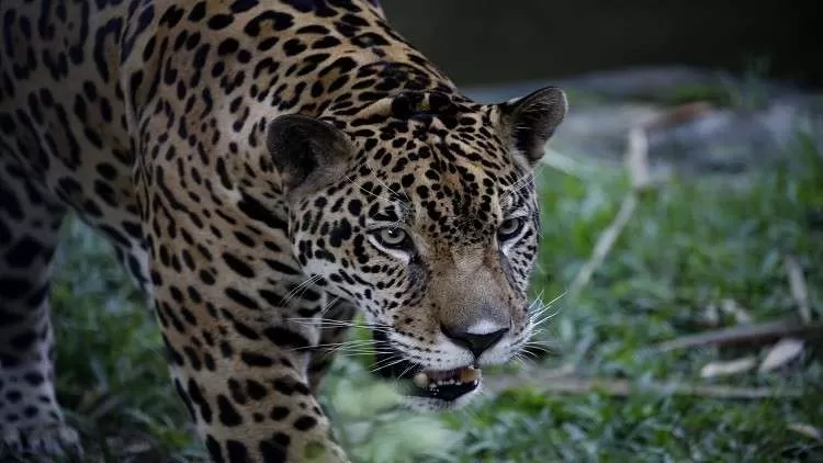 مدار الساعة,أخبار خفيفة ومنوعة