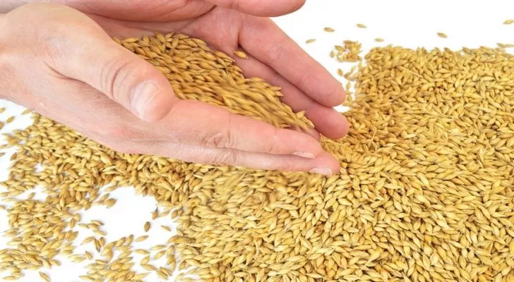 مدار الساعة,أخبار اقتصادية,وزارة الصناعة والتجارة,وزارة الصناعة