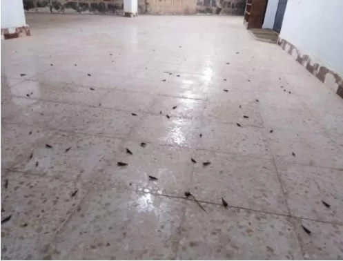 مدار الساعة,أخبار الأردن,اخبار الاردن,وزارة الزراعة