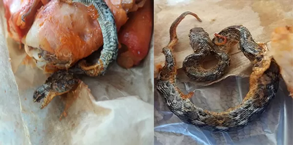 مدار الساعة,Video,فيديو,أخبار خفيفة ومنوعة