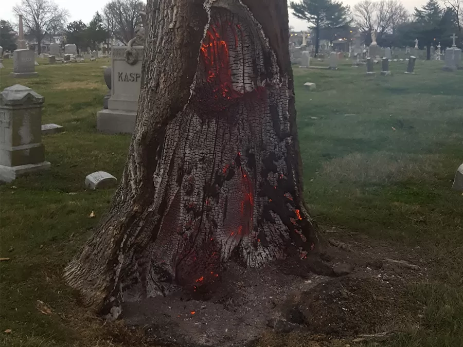 مدار الساعة,أخبار خفيفة ومنوعة