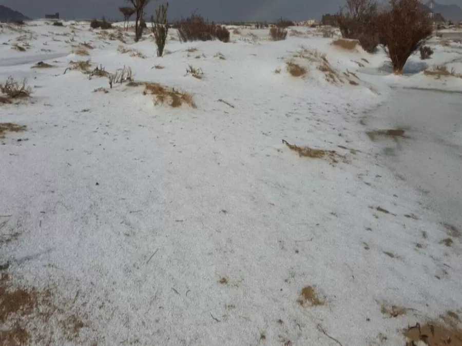 مدار الساعة,Video,فيديو,أخبار خفيفة ومنوعة,درجات الحرارة,مواقع التواصل الاجتماعي