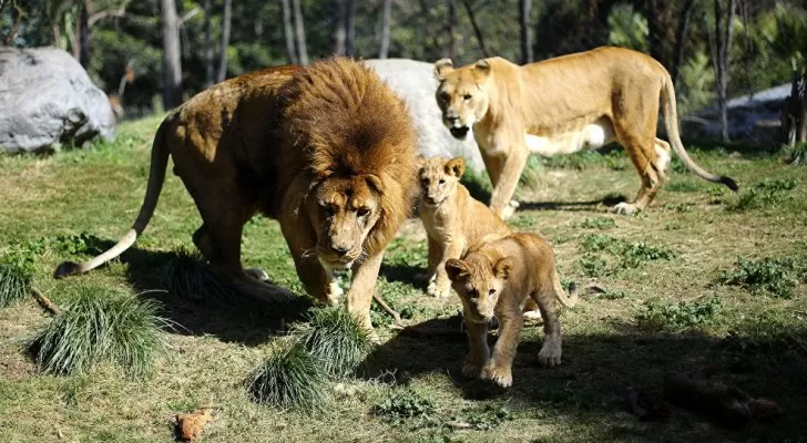 مدار الساعة,Video,فيديو,أخبار خفيفة ومنوعة