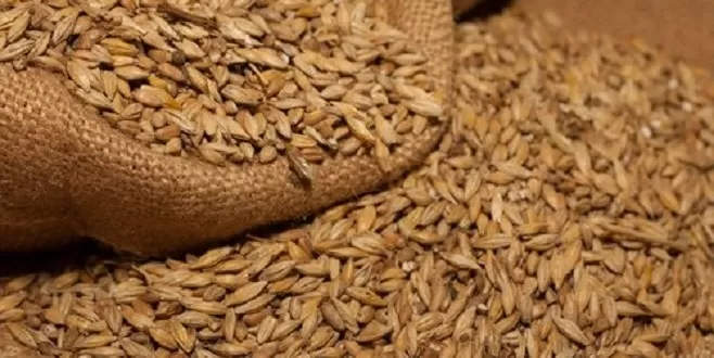 مدار الساعة,أخبار اقتصادية,وزارة الصناعة والتجارة,وزارة الصناعة