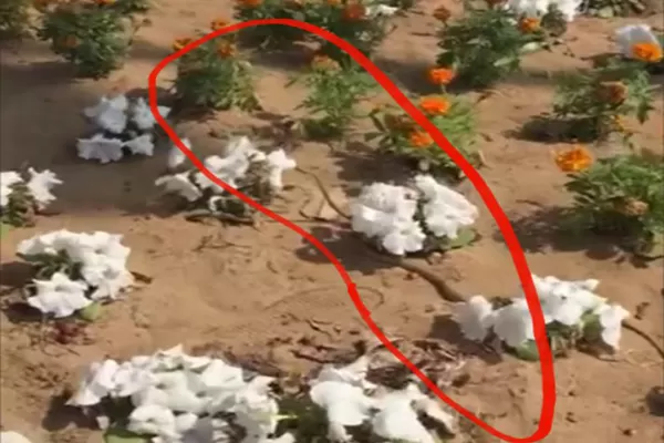 مدار الساعة,Video,فيديو,أخبار خفيفة ومنوعة,مواقع التواصل الاجتماعي