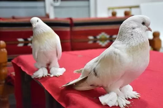 مدار الساعة,أخبار خفيفة ومنوعة