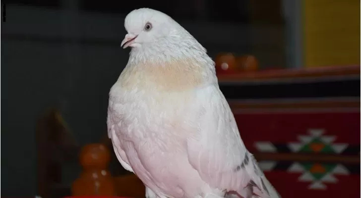 مدار الساعة,أخبار خفيفة ومنوعة