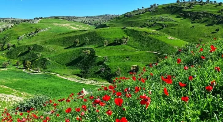مدار الساعة,أخبار الأردن,اخبار الاردن,درجات الحرارة العظمى والصغرى,درجات الحرارة,البحر الميت