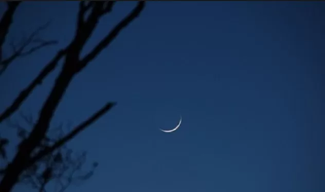 مدار الساعة,أخبار الأردن,اخبار الاردن,الدكتور محمد الخلايلة,مفتي عام المملكة,محمد الخلايلة