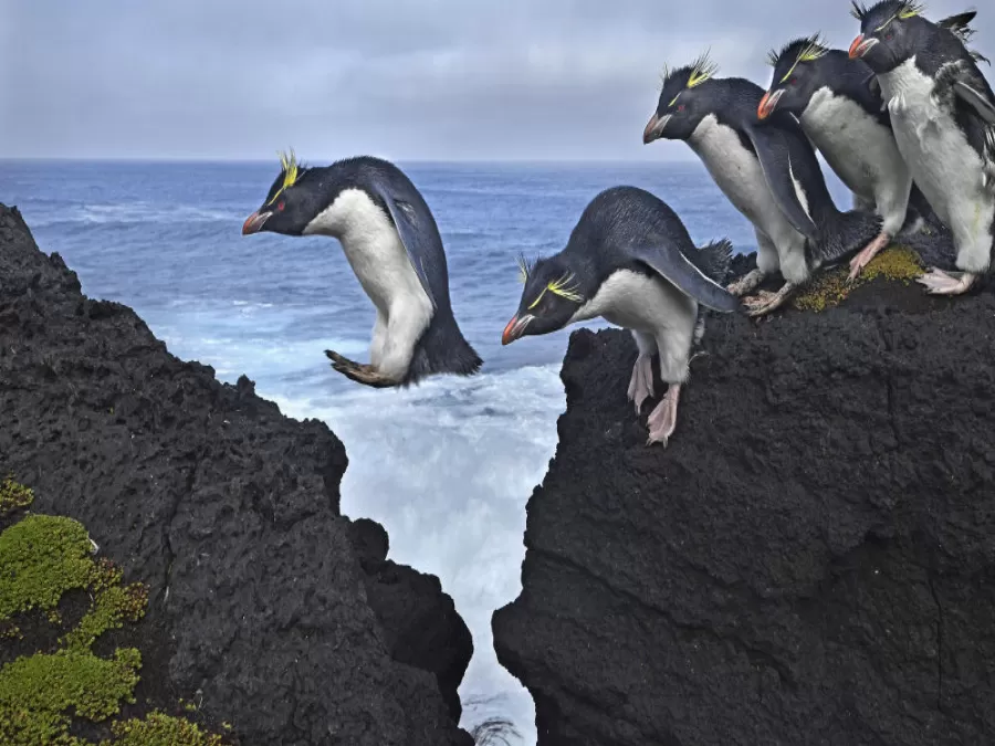 مدار الساعة,أخبار خفيفة ومنوعة