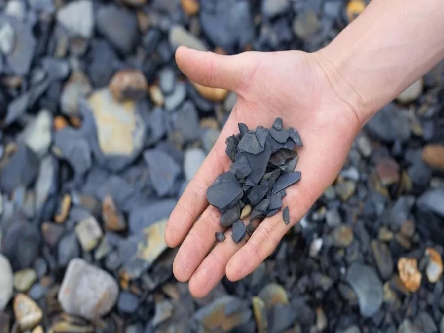 مدار الساعة,أخبار اقتصادية,وزارة الطاقة والثروة المعدنية,وزارة الطاقة,خزينة الدولة