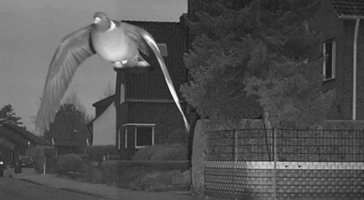 مدار الساعة,أخبار خفيفة ومنوعة,وسائل التواصل الاجتماعي