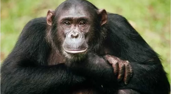 مدار الساعة,أخبار خفيفة ومنوعة